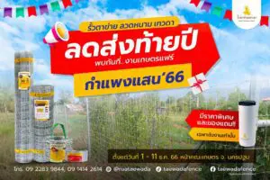 Read more about the article โปรโมชั่นพิเศษ เกษตรกำแพงแสน ปี 66