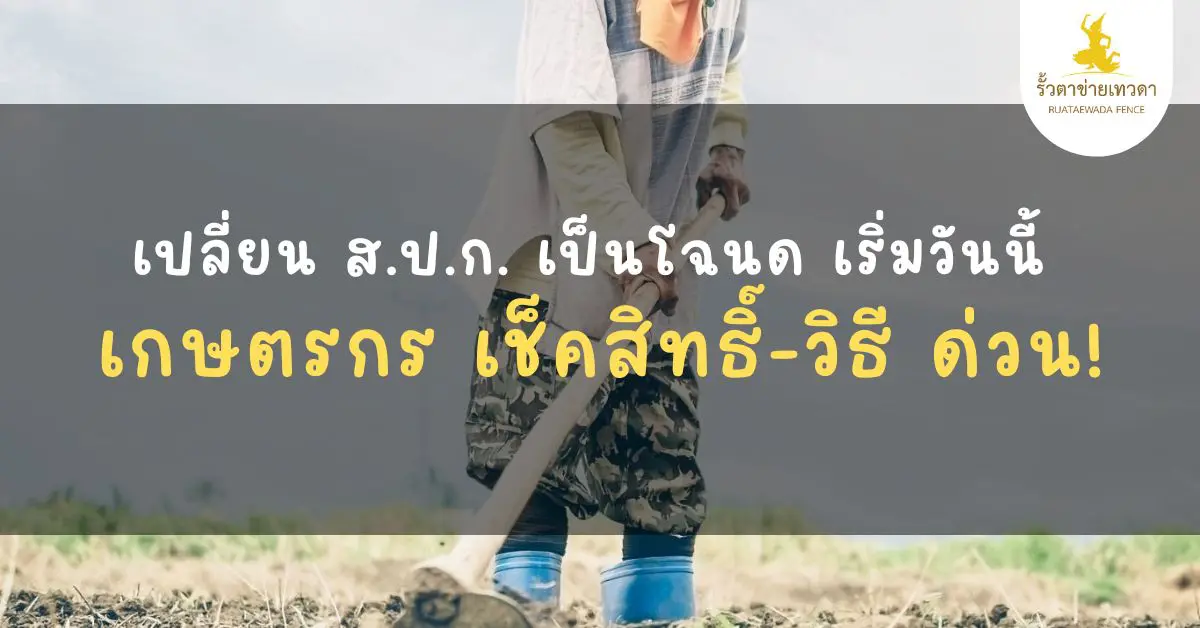 Read more about the article เปลี่ยน ส.ป.ก. เป็นโฉนด เริ่มวันนี้ เกษตรกร เช็คสิทธิ์-วิธี ด่วน!