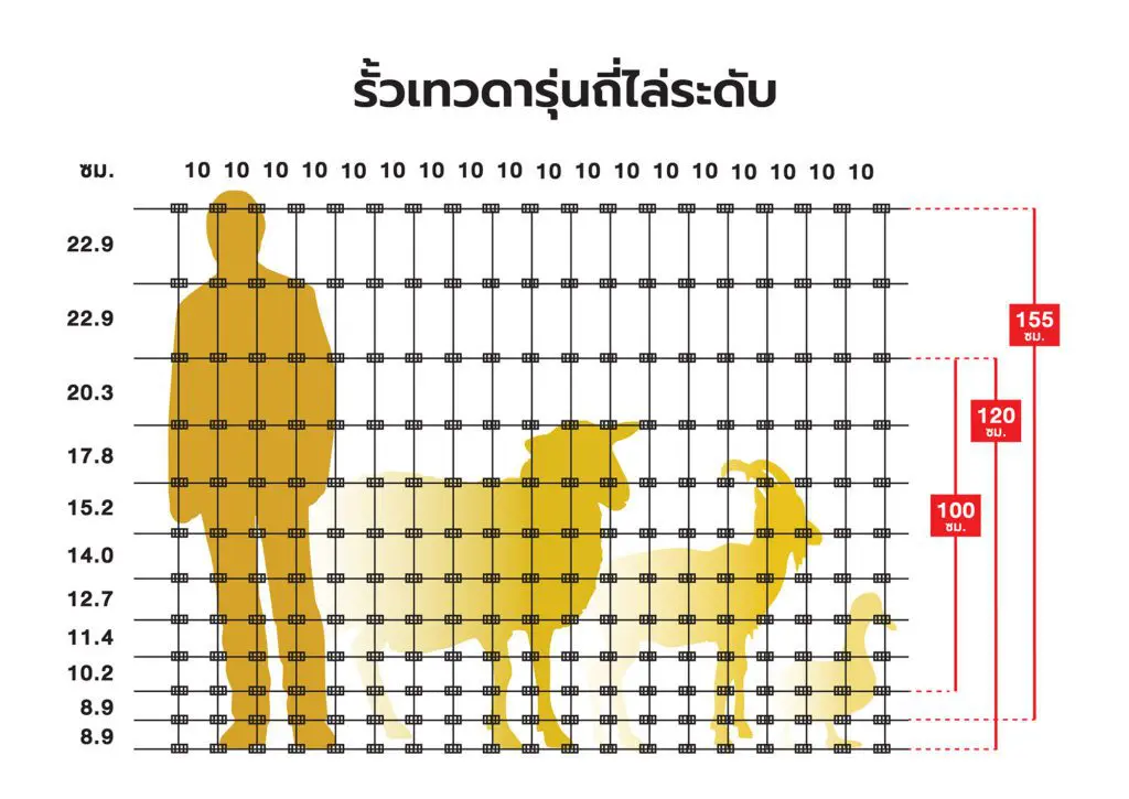 รั้วตาข่ายเทวดารุ่นถี่ไล่ระดับ รั้วตาข่ายถักปม ถี่ 4 นิ้ว ไล่ระดับ ล้อมสัตว์ ล้อมฟาร์ม รั้วปศุสัตว์