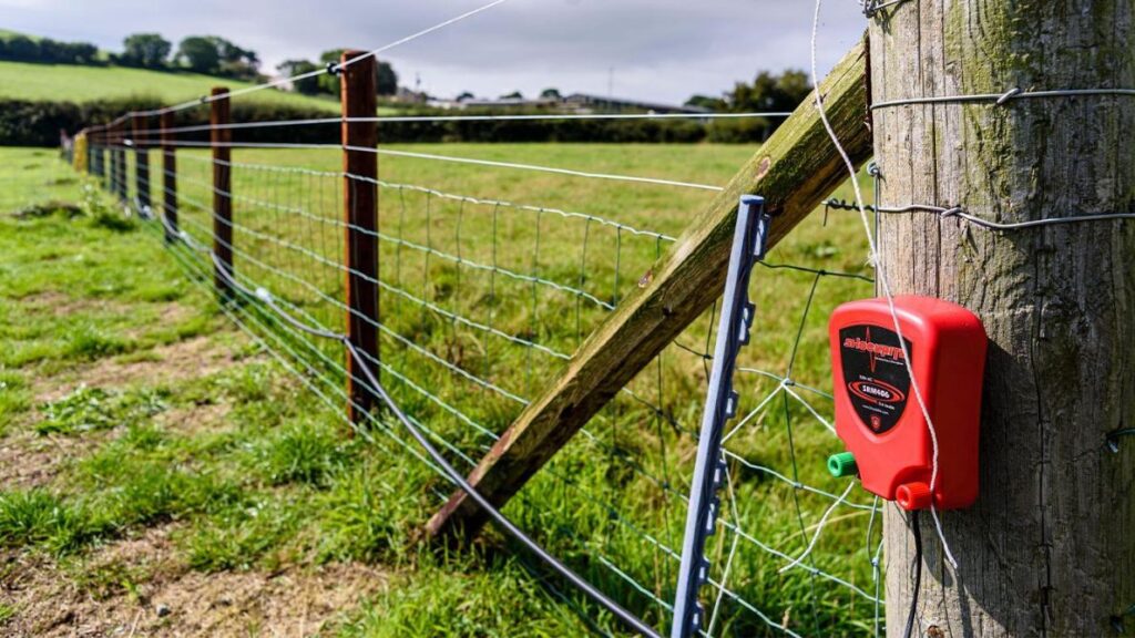 รั้วไฟฟ้า (Electric Fence)