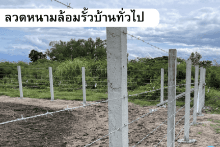 ลวดหนามล้อมรั้วบ้านทั่วไป